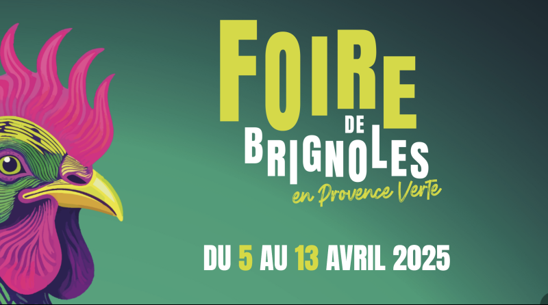 Stande ghibaut poêles et cheminées 2025 exposition de poêles bois et à granules